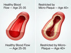 primalengine-advert_2_comparison.webp
