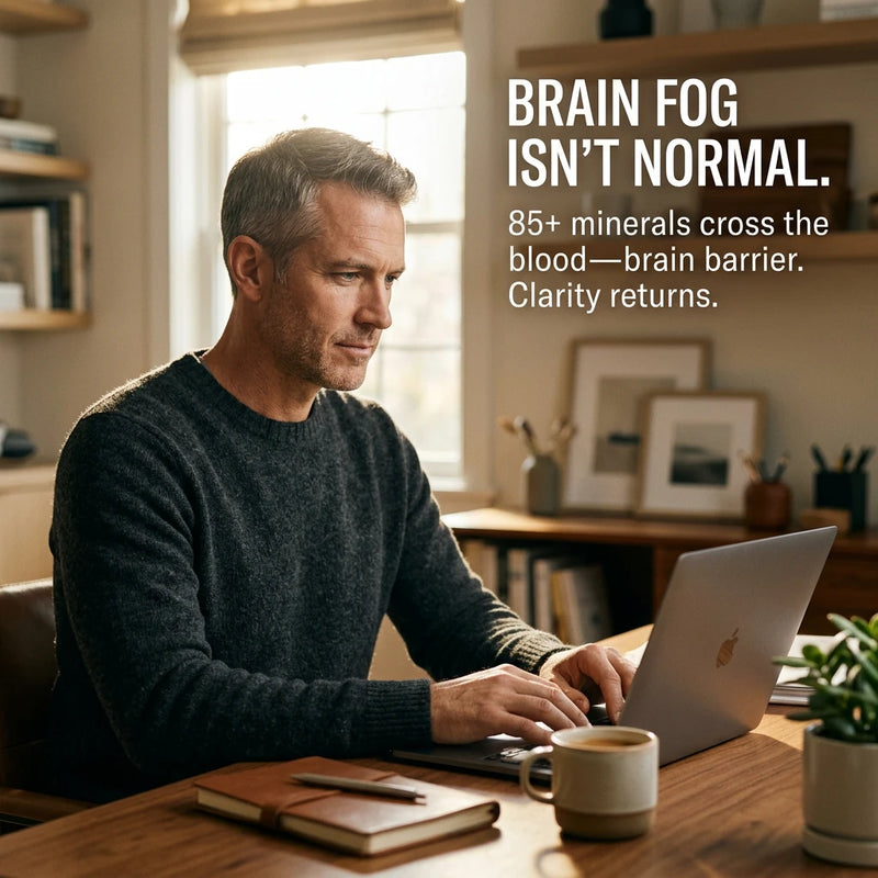 Benefits section - Clarity