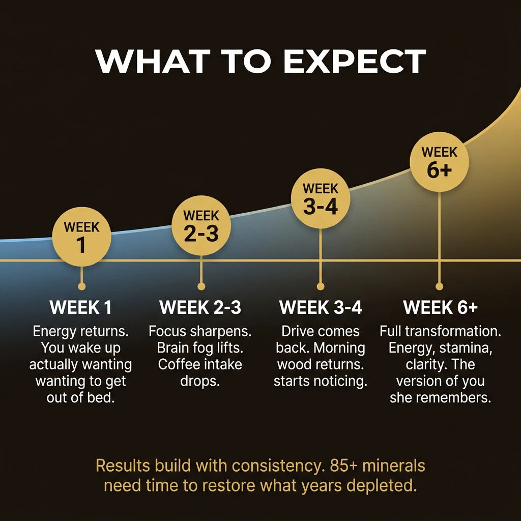 Slide 09 timeline